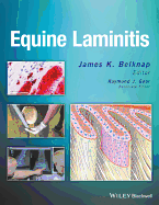 Equine Laminitis