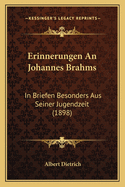 Erinnerungen An Johannes Brahms: In Briefen Besonders Aus Seiner Jugendzeit (1898)