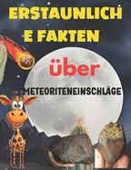 Erstaunliche Fakten ?ber Meteoriteneinschl?ge: Mein erstes Meteoriten-Bilderbuch