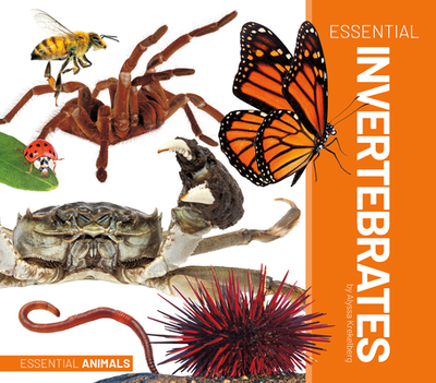 Essential Invertebrates - Krekelberg, Alyssa