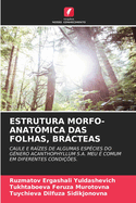 Estrutura Morfo-Anat?mica Das Folhas, Brcteas