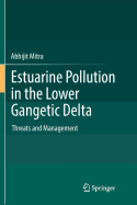 Estuarine Pollution in the Lower Gangetic Delta: Threats and Management