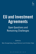 EU and Investment Agreements: Open Questions and Remaining Challenges