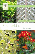 Euphorbias. Timothy Walker