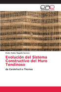 Evolucin del Sistema Constructivo del Muro Tendinoso