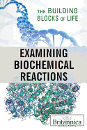 Examining Biochemical Reactions