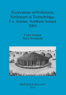 Excavations of Prehistoric Settlement at Toomebridge Co. Antrim Northern Ireland 2003