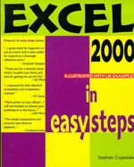 Excel 2000 in easy steps