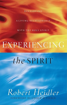 Experiencing the Spirit - Heidler, Robert D