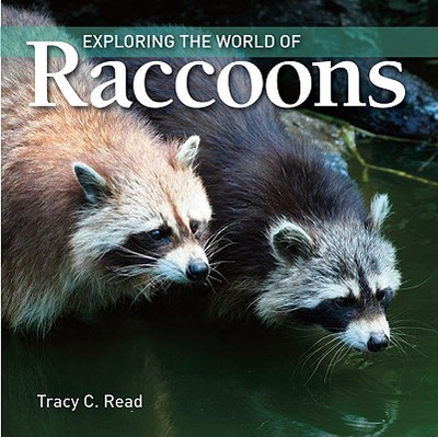 Exploring the World of Raccoons - Read, Tracy C