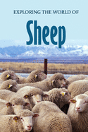 Exploring the World of Sheep: Educational Animals Book For Kids
