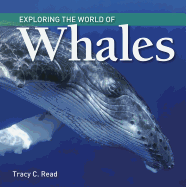 Exploring the World of Whales