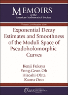 Exponential Decay Estimates and Smoothness of the Moduli Space of Pseudoholomorphic Curves