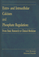 Extra- And Intracellular Calcium and Phosphate Regulation: From Basic Research to Clinical Medicine
