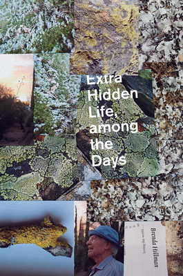 Extra Hidden Life, Among the Days - Hillman, Brenda