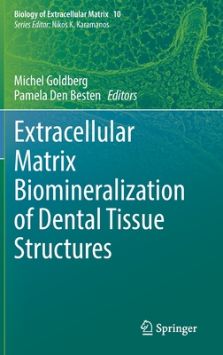 Extracellular Matrix Biomineralization of Dental Tissue Structures - Goldberg, Michel (Editor), and Den Besten, Pamela (Editor)