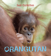 Eye on the Wild: Orangutan