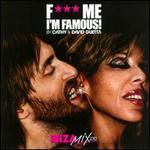 F*** Me I'm Famous!: Ibiza Mix 2010