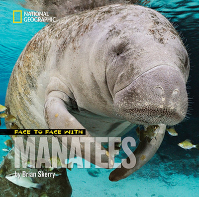 Face to Face with Manatees - Skerry, Brian