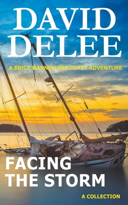 Facing the Storm - Delee, David