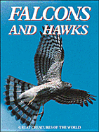 Falcons and Hawks