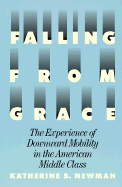 Falling from Grace: The Experience of Downward Mobility in the American Middle Class