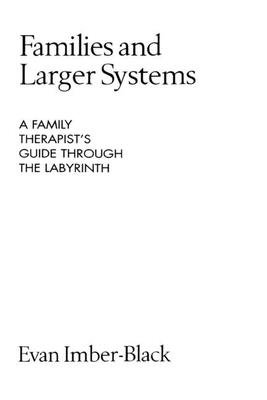 Families and Larger Systems: A Family Therapist's Guide Through the Labyrinth - Imber-Black, Evan
