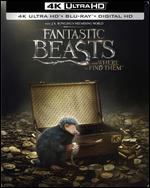 Fantastic Beasts and Where to Find Them [SteelBook] [4K Ultra HD Blu-ray/Blu-ray] [Only @ Best Buy] - David Yates