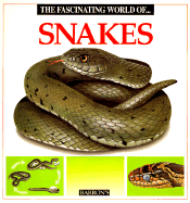 Fascinating World of Snakes - Julivert, Maria Angels