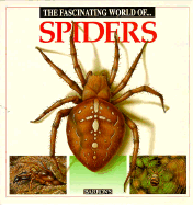 Fascinating World of Spiders - Julivert, Maria Angels