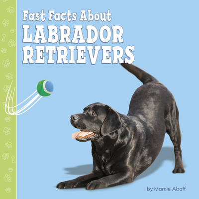 Fast Facts about Labrador Retrievers - Aboff, Marcie