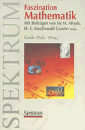 Faszination Mathematik
