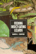 Feeding Insect-Eating Lizards