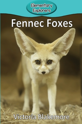 Fennec Foxes - Blakemore, Victoria