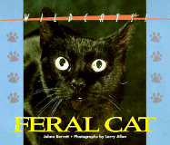 Feral Cat