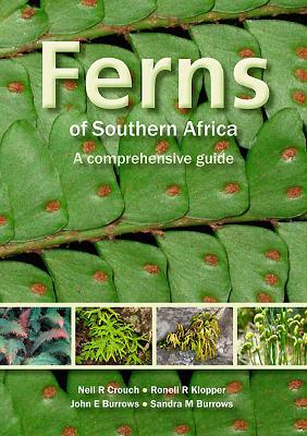 Ferns of Southern Africa: A Comprehensive Guide (PVC): A Comprehensive Guide - Crouch, Neil R.