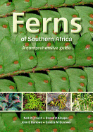 Ferns of Southern Africa: A Comprehensive Guide
