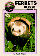 Ferrets in Your Home