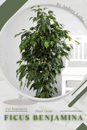 Ficus Benjamina: Plant Guide