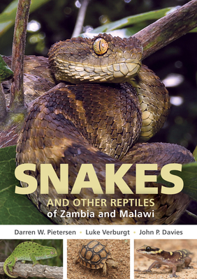 Field Guide to Snakes and other Reptiles of Zambia and Malawi - Pietersen, Darren W., and Verburgt, Luke