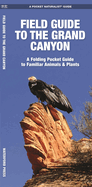 Field Guide to the Grand Canyon: A Folding Pocket Guide to Familiar Plants and Animals