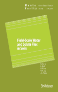 Field-scale water and solute flux in soils