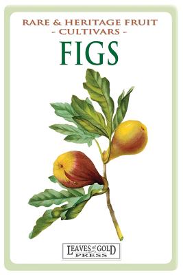 Figs: Rare and Heritage Fruit Cultivars #13 - Thornton, C