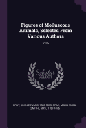 Figures of Molluscous Animals, Selected from Various Authors: V 15
