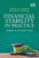 Financial Stability in Practice: Towards an Uncertain Future