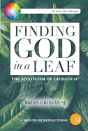 Finding God in a Leaf: The Mysticism of Laudato Si'