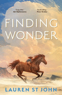 Finding Wonder: An unforgettable adventure from The One Dollar Horse author