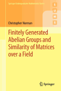 Finitely Generated Abelian Groups and Similarity of Matrices Over a Field