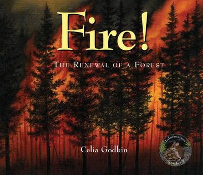 Fire!: The Renewal of a Forest - Godkin, Celia