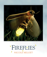 Fireflies - Helget, Nicole